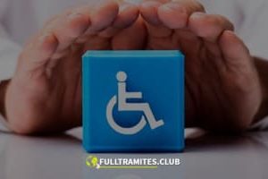 ¿Qué Tipos de Requisitos Necesito para una Pensión de Invalidez?
